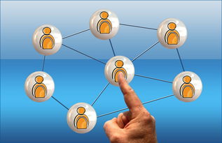 乐鱼体育入口-德国队与国际乒联混合团体世界杯赛制的互动与挑战，德国队乒乓