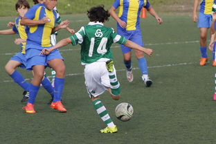 乐鱼体育线上入口-中国足球国家队备战友谊赛调整战术策略，国足 友谊赛